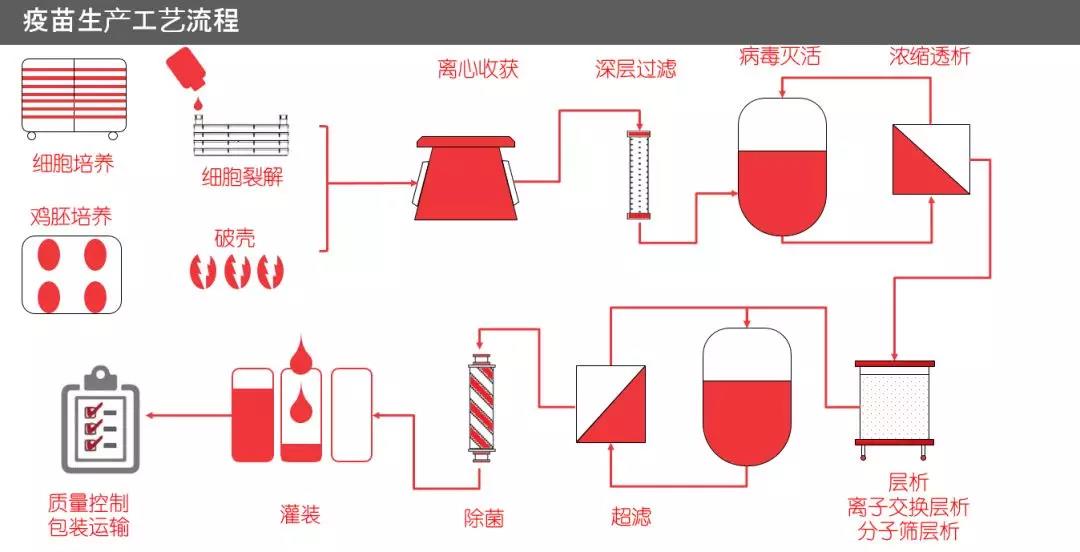 全国疫苗最新消息｜疫苗资讯速递：全国最新动态