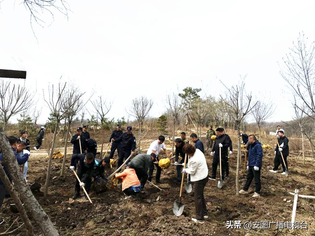 安图市场新篇章，供需共赢新视野