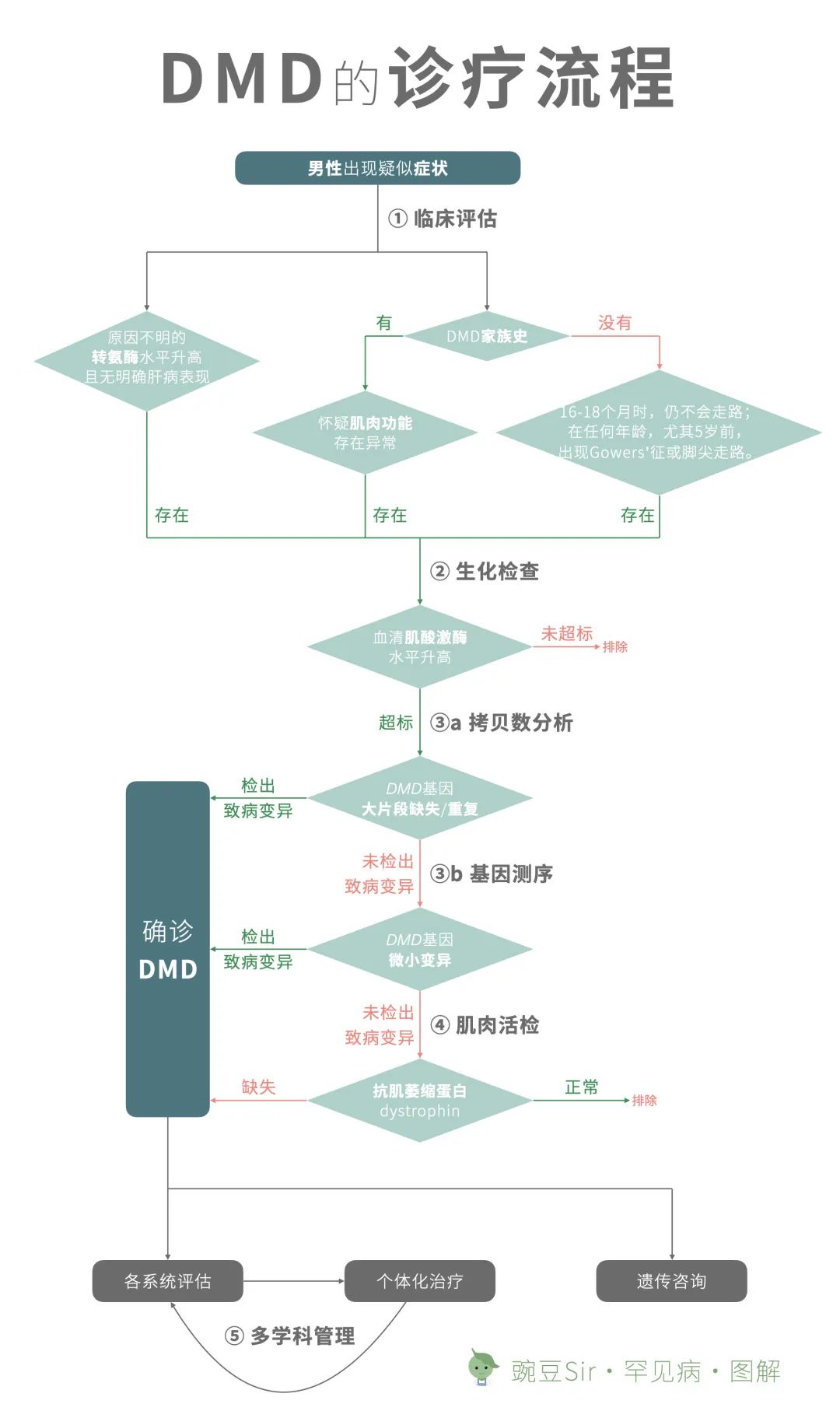 探索DMD治疗领域的光明未来，共迎新突破！